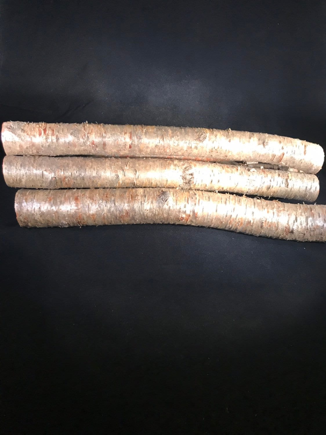 Birch, Yellow Birch Logs, Golden Brown, 16 inches in length, Six Logs approximately 2 inches in diameter