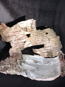 White birch bark and yellow birch bark combination