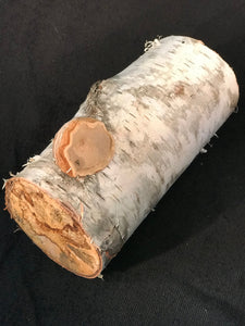 White Birch log, with one inch polypore with spalted ends.  Log is 6 inches high and 2 3/4 inch diameter