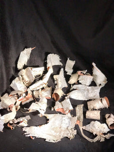 Birch bark, 25 assorted pieces of white birch bark