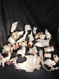 Birch bark, 25 assorted pieces of white birch bark