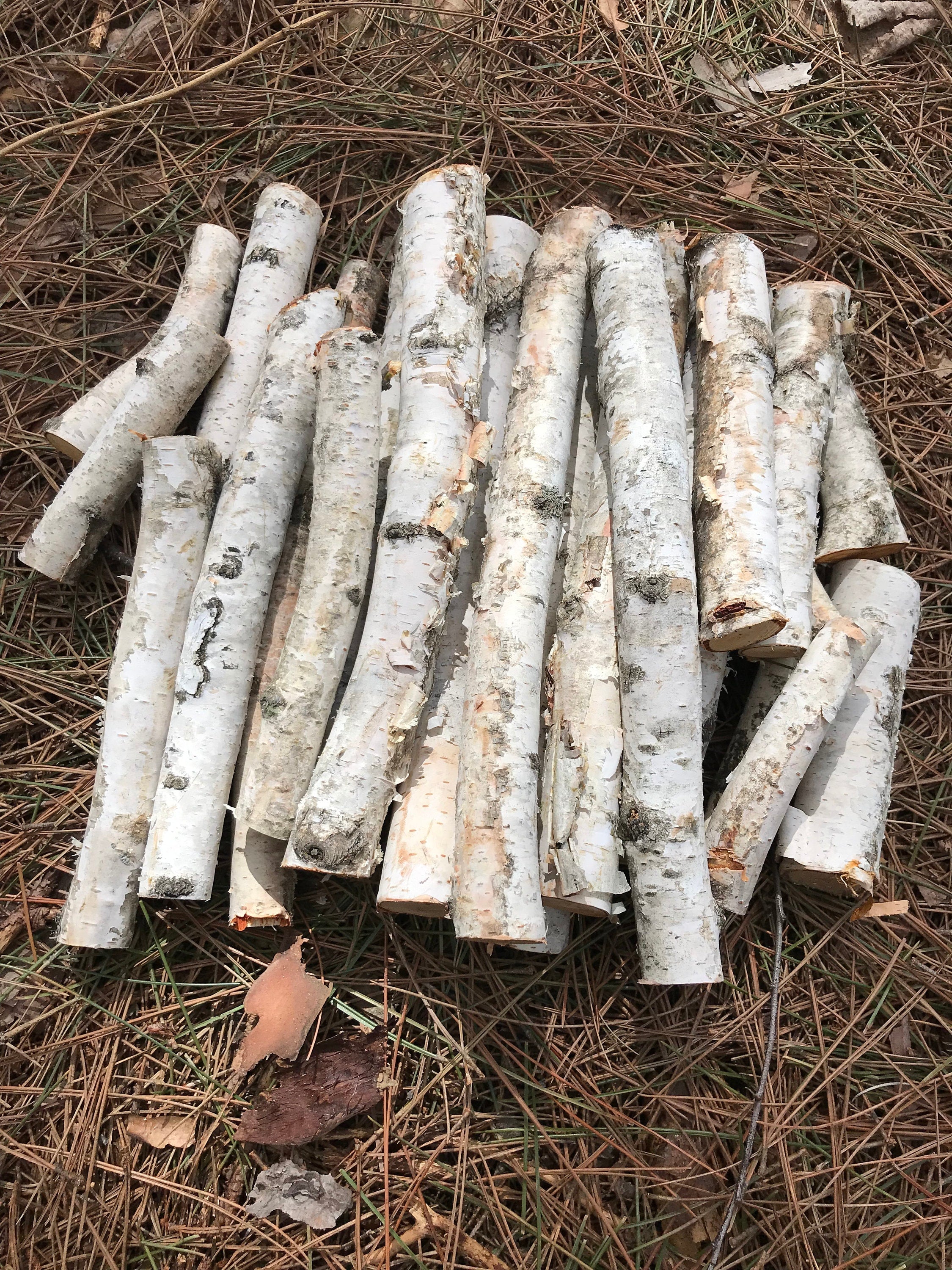 White Birch Branches, 21 assorted pieces varying is length from 2 inches to about 10, with diameters from 1/4- 2 inches