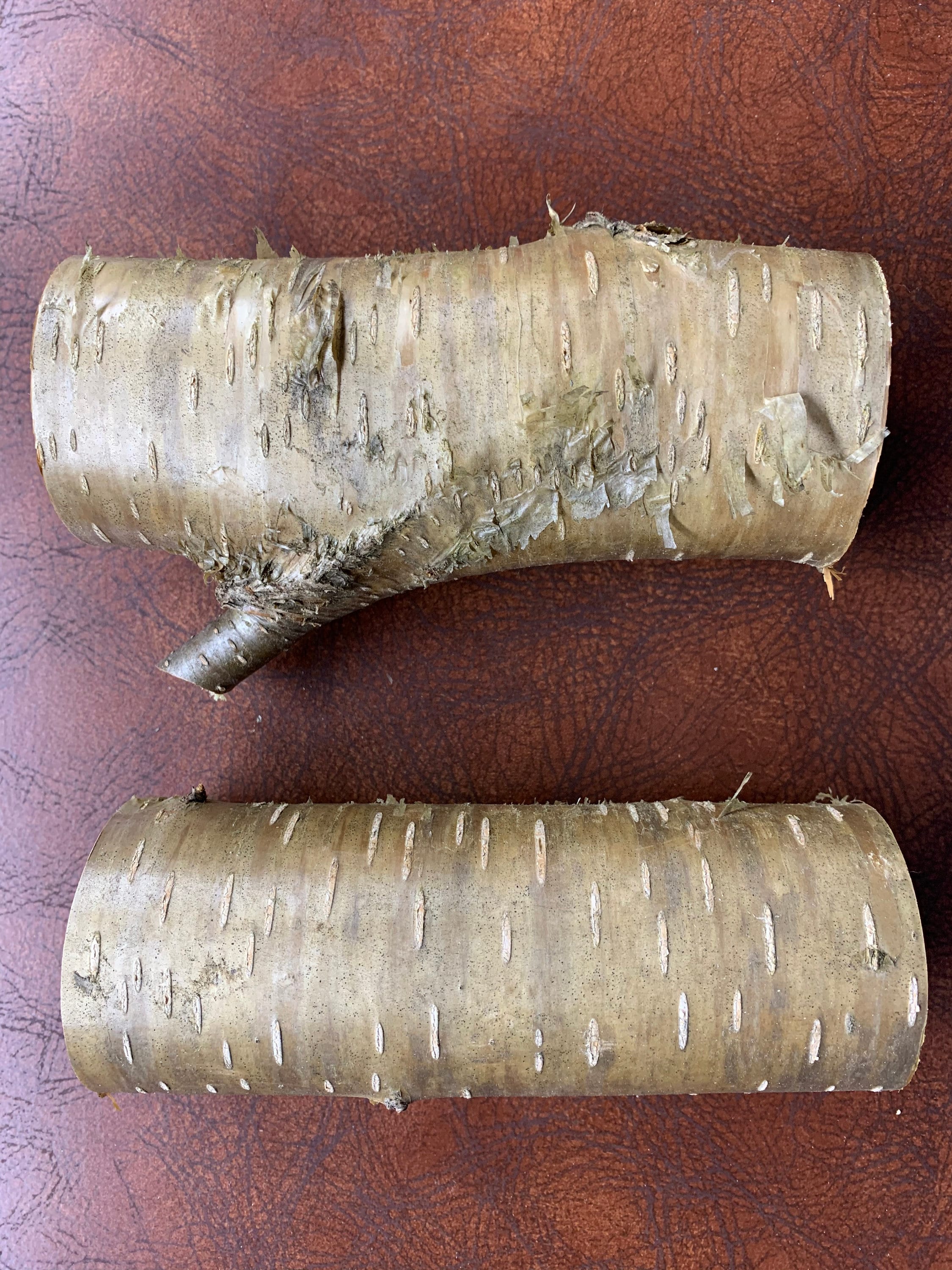 Yellow Birch Logs, 2 Golden Brown Pieces, Approximately 6 inches long with a diameter of 2 1/4 inches wide