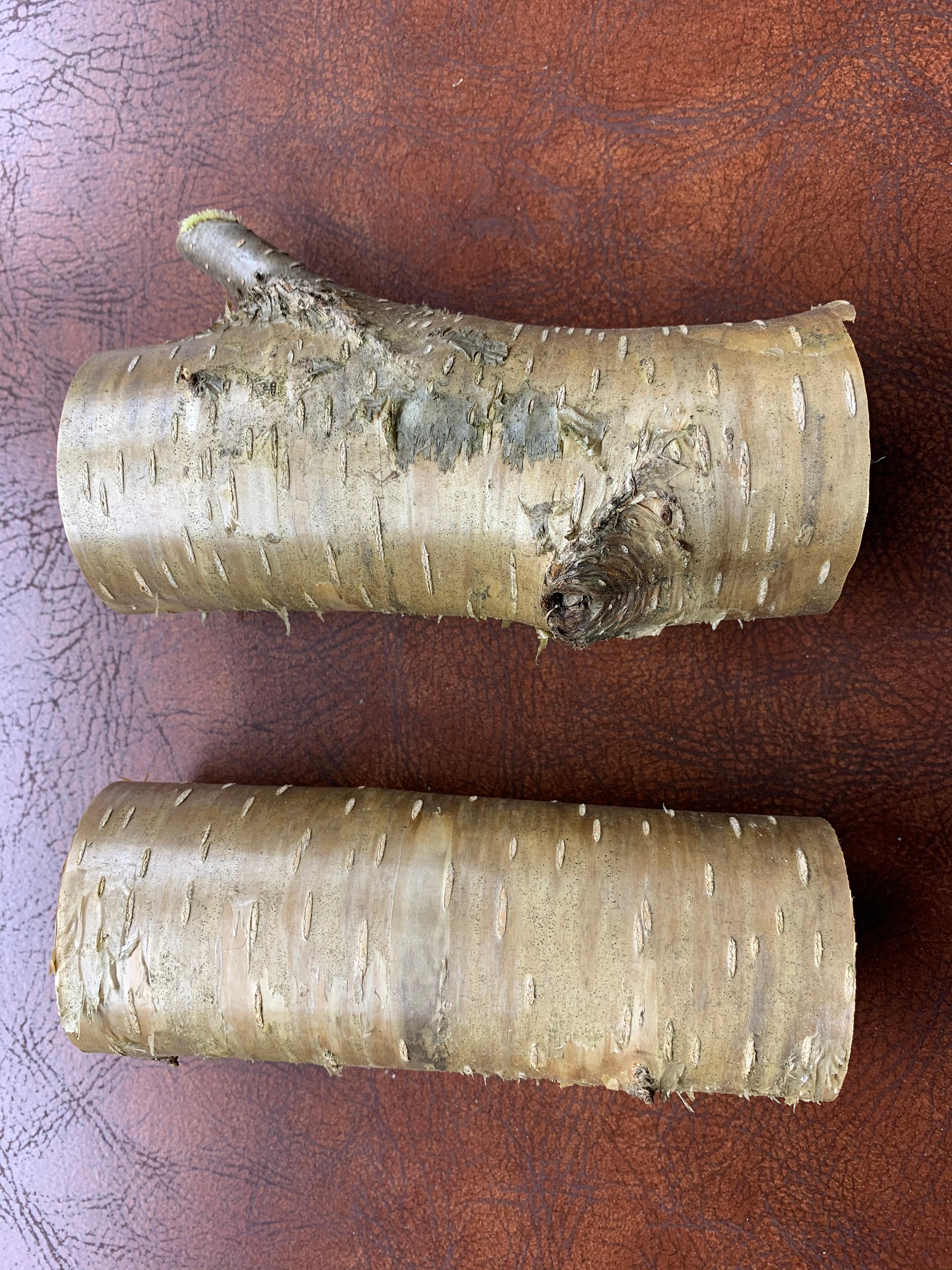 Yellow Birch Logs, 2 Golden Brown Pieces, Approximately 6 inches long with a diameter of 2 1/4 inches wide