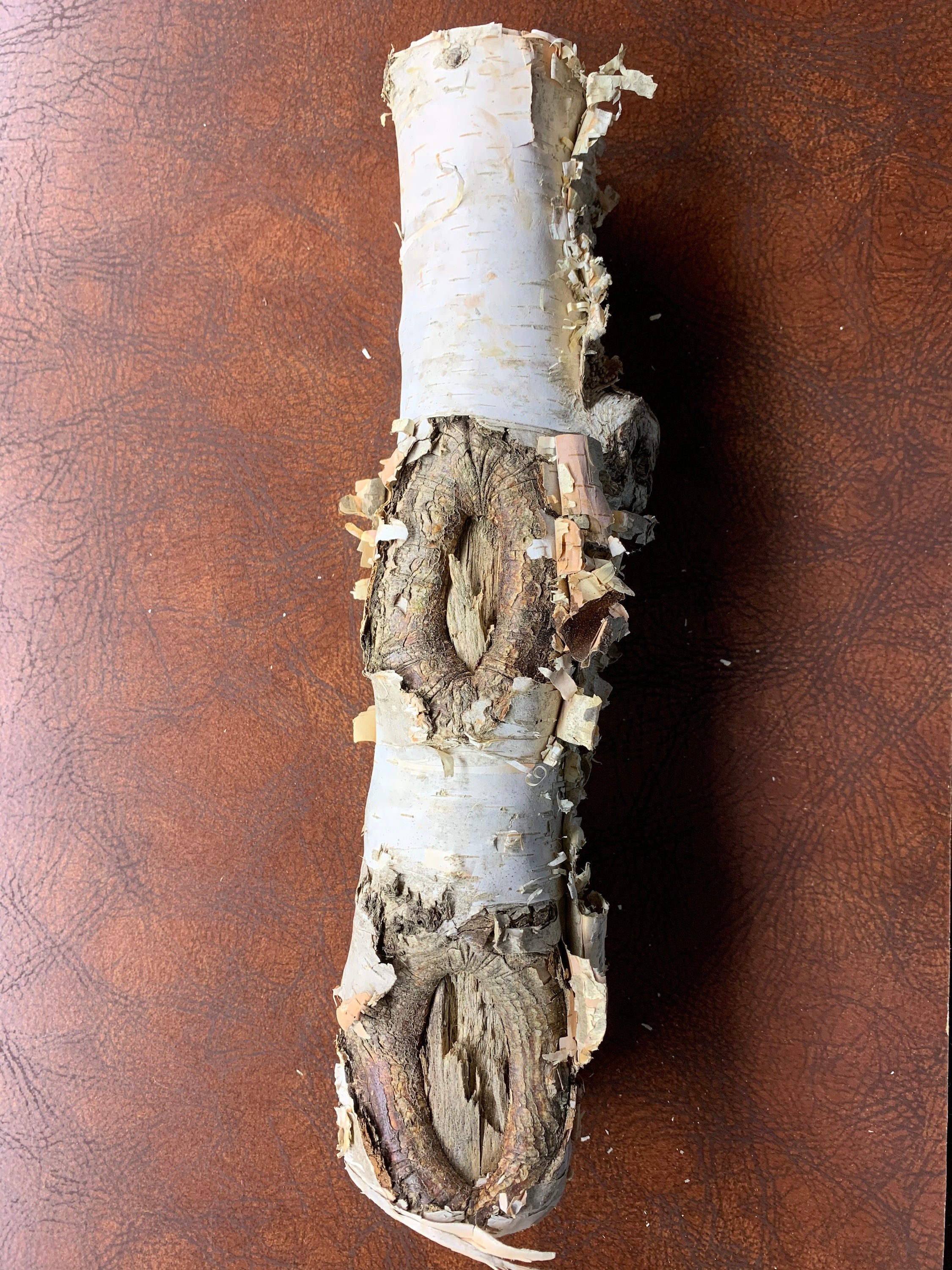 White Birch Log, 11 inches x 2 inches diameter