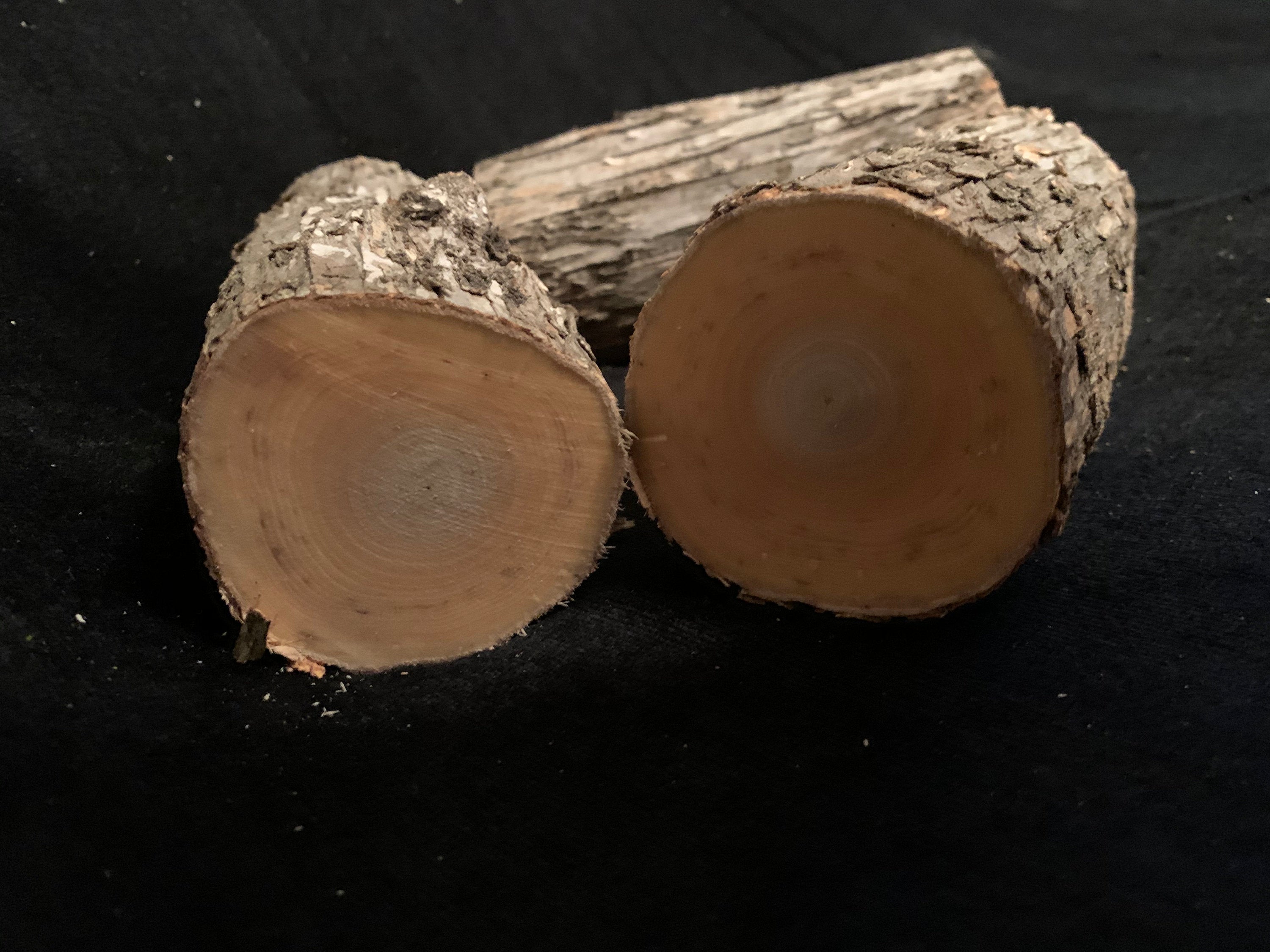 Ironwood Logs, Hophornbeam, 3 Count, Approximately 8 Inches Long and About 2 Inches Diameter