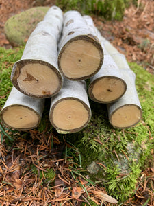 Aspen Logs, 12 Inches Long, 1-2 Inch Diameter, 6 Count