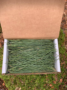 PINE NEEDLES, FRESH, 4 ounces, Red Pine