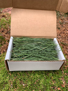 PINE NEEDLES, FRESH, 4 ounces, Red Pine