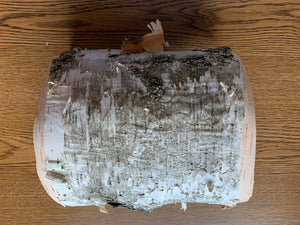 White Birch Bark, Semi-Rounded firm 8x13 inch piece