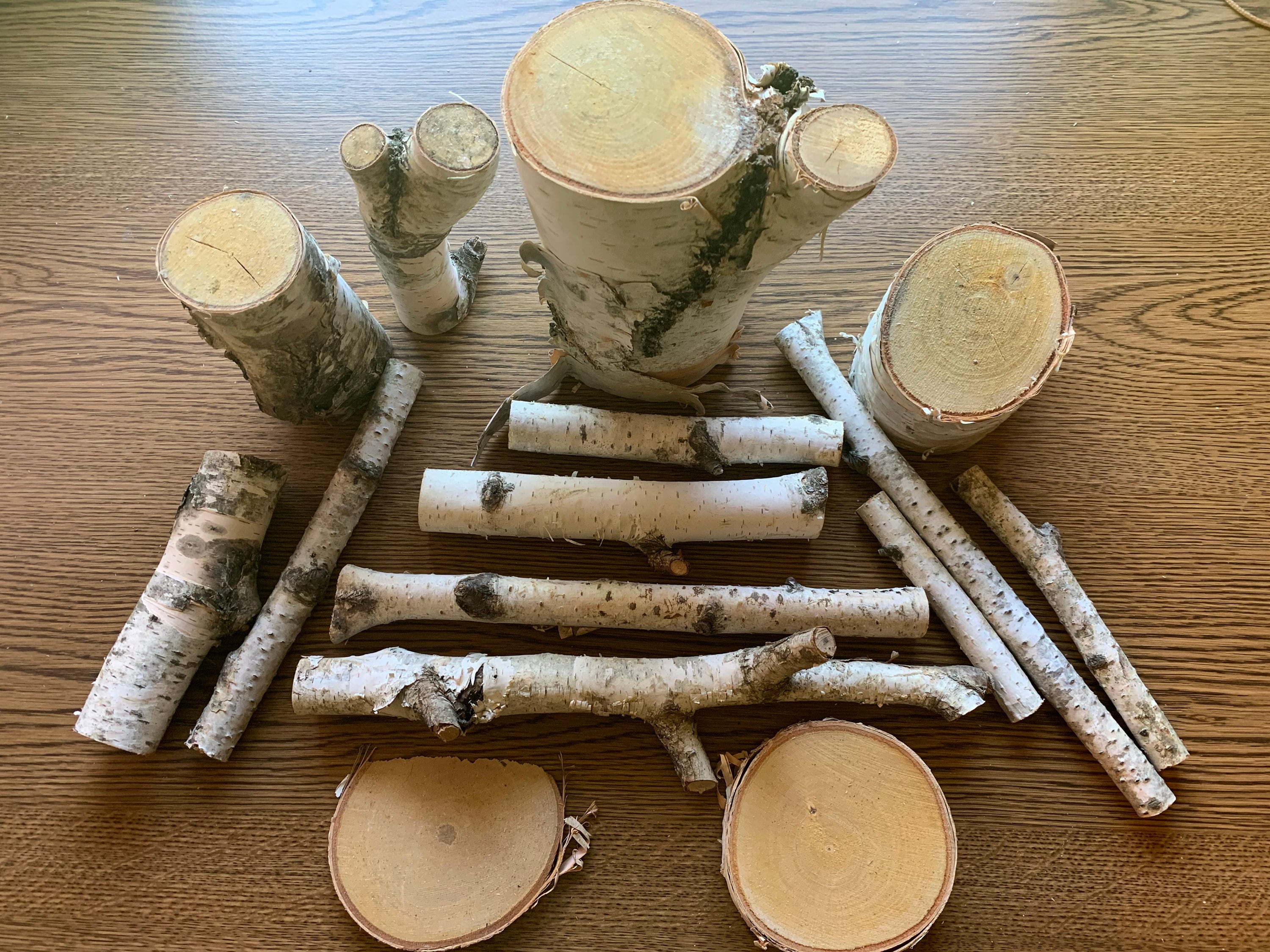 White Birch Ends and Pieces, 15 pieces, Assorted Sizes