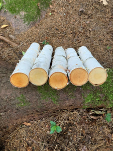 White Birch Logs, 100 Count