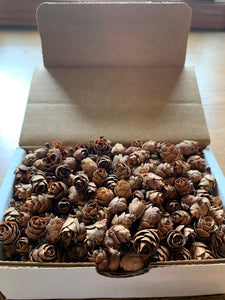 Tamarack Cones, 4 Ounces, Approximately 550 Cones