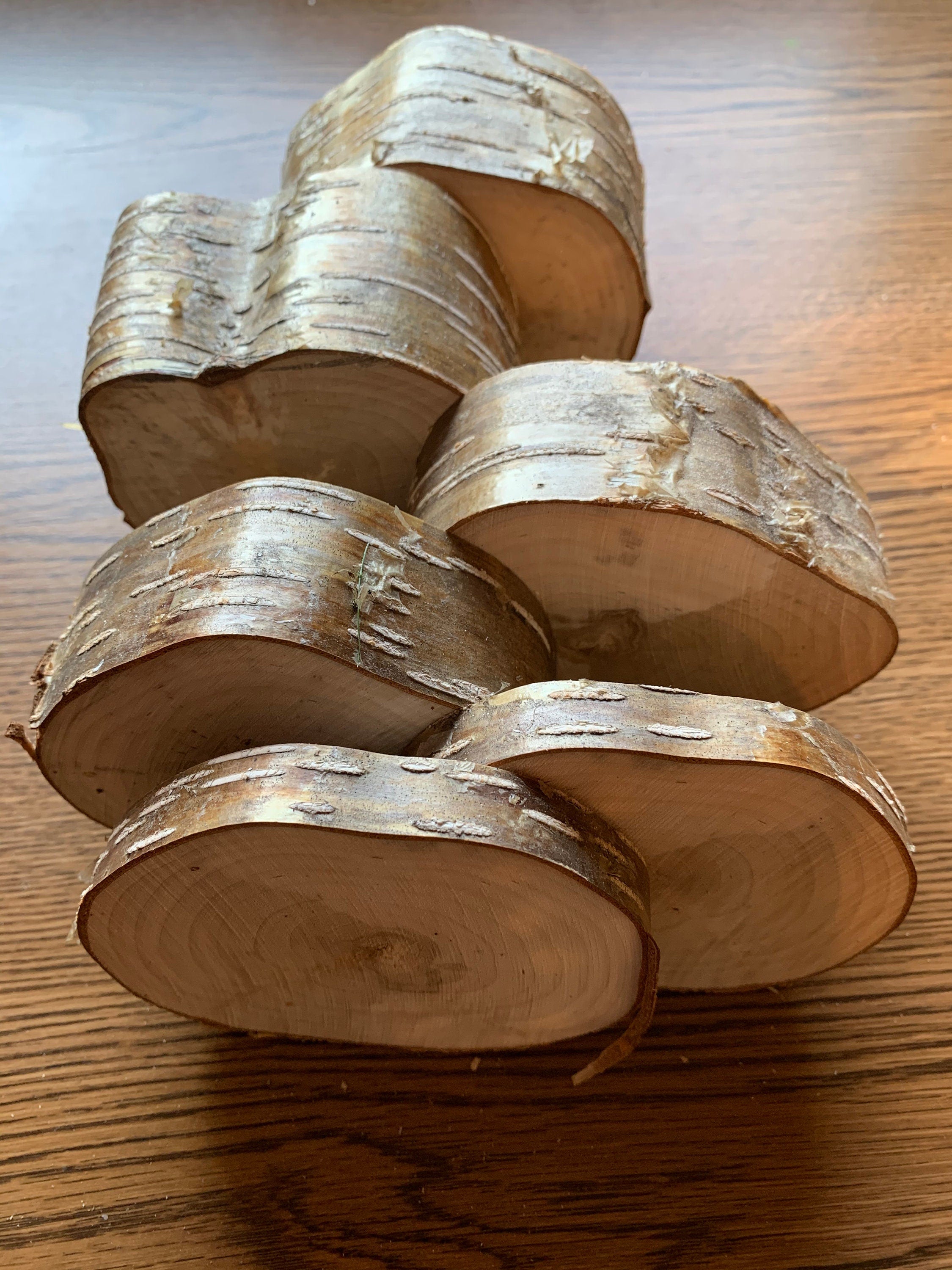 Yellow Birch Slices, 6 Golden Slices, Assorted Sizes