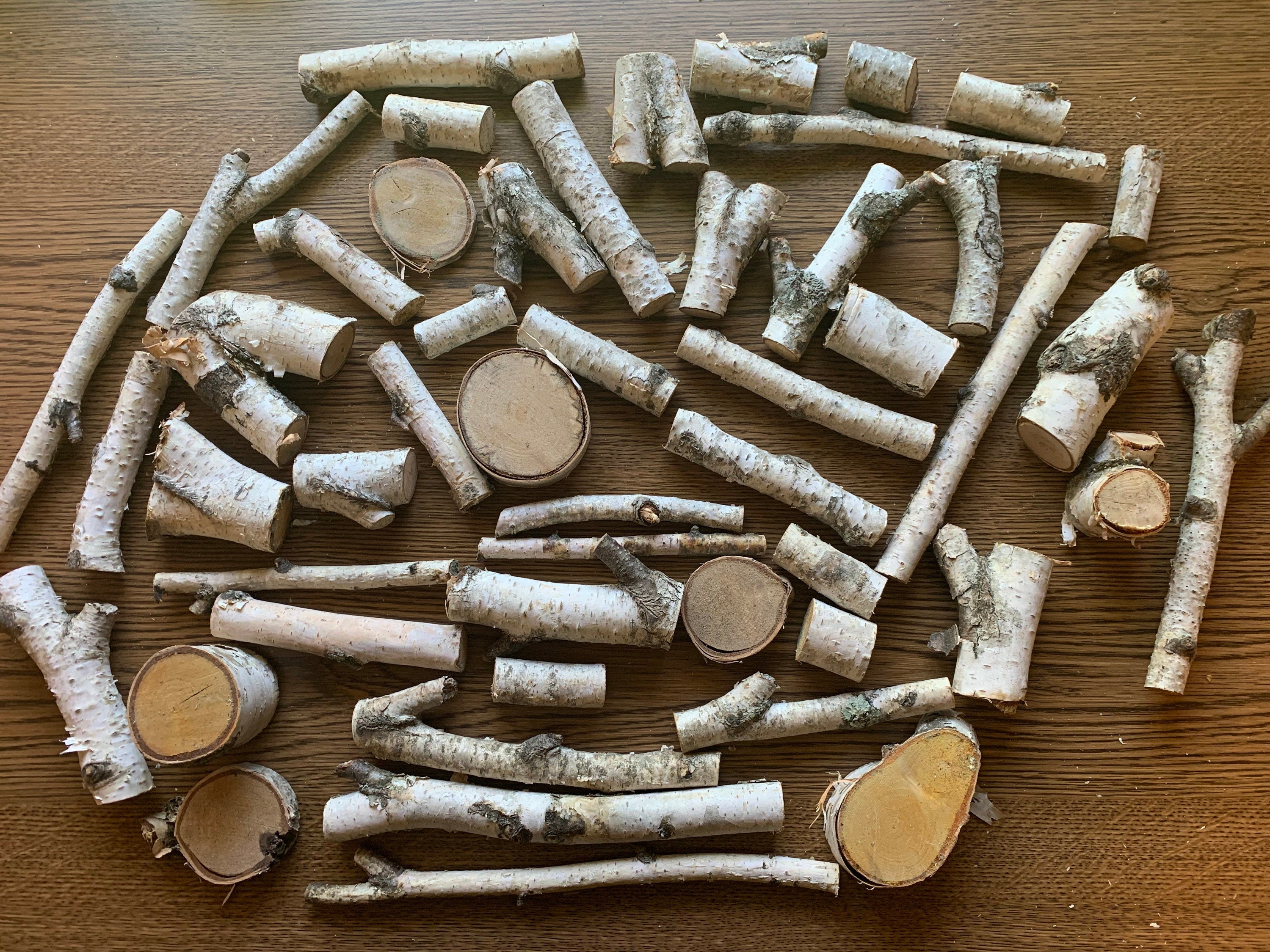 White Birch Small Ends and Pieces, 40 plus pieces, Assorted Sizes