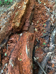 Decomposed Log, 6 Ounces