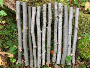 Aspen Sticks, 12 count, 12 inches long with diameters between 1/2-1 inch