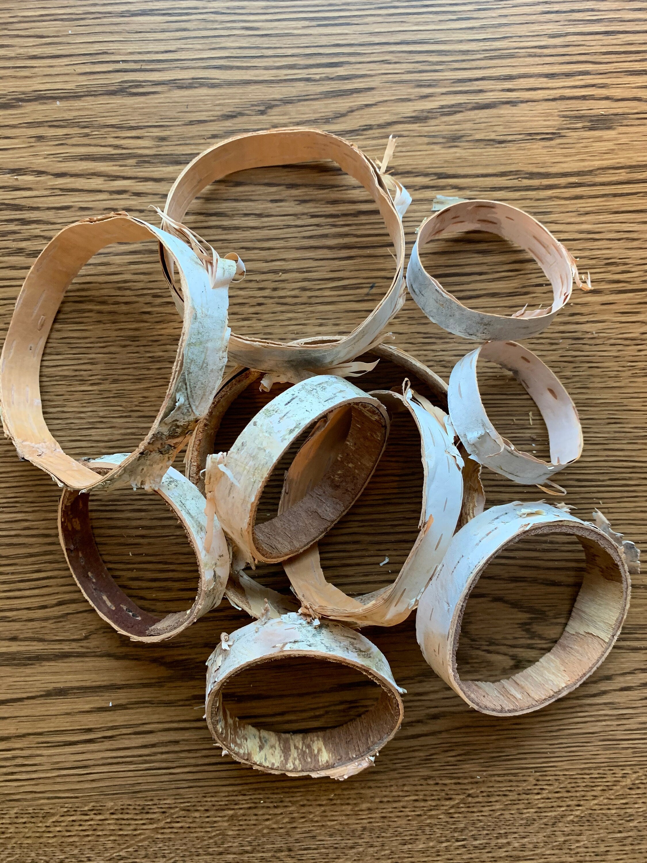 White birch rings, 1/2 inch wide with varies diameters, 10 count