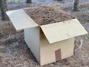 Pine Straw, Red Pine Needles, Dried - 10 Pounds