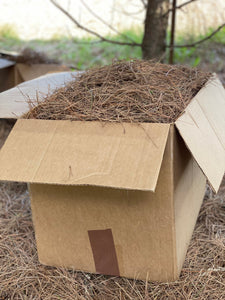 Pine Straw, Red Pine Needles, Dried - 10 Pounds