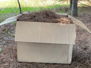 Pine Straw, Red Pine Needles, Dried - 10 Pounds