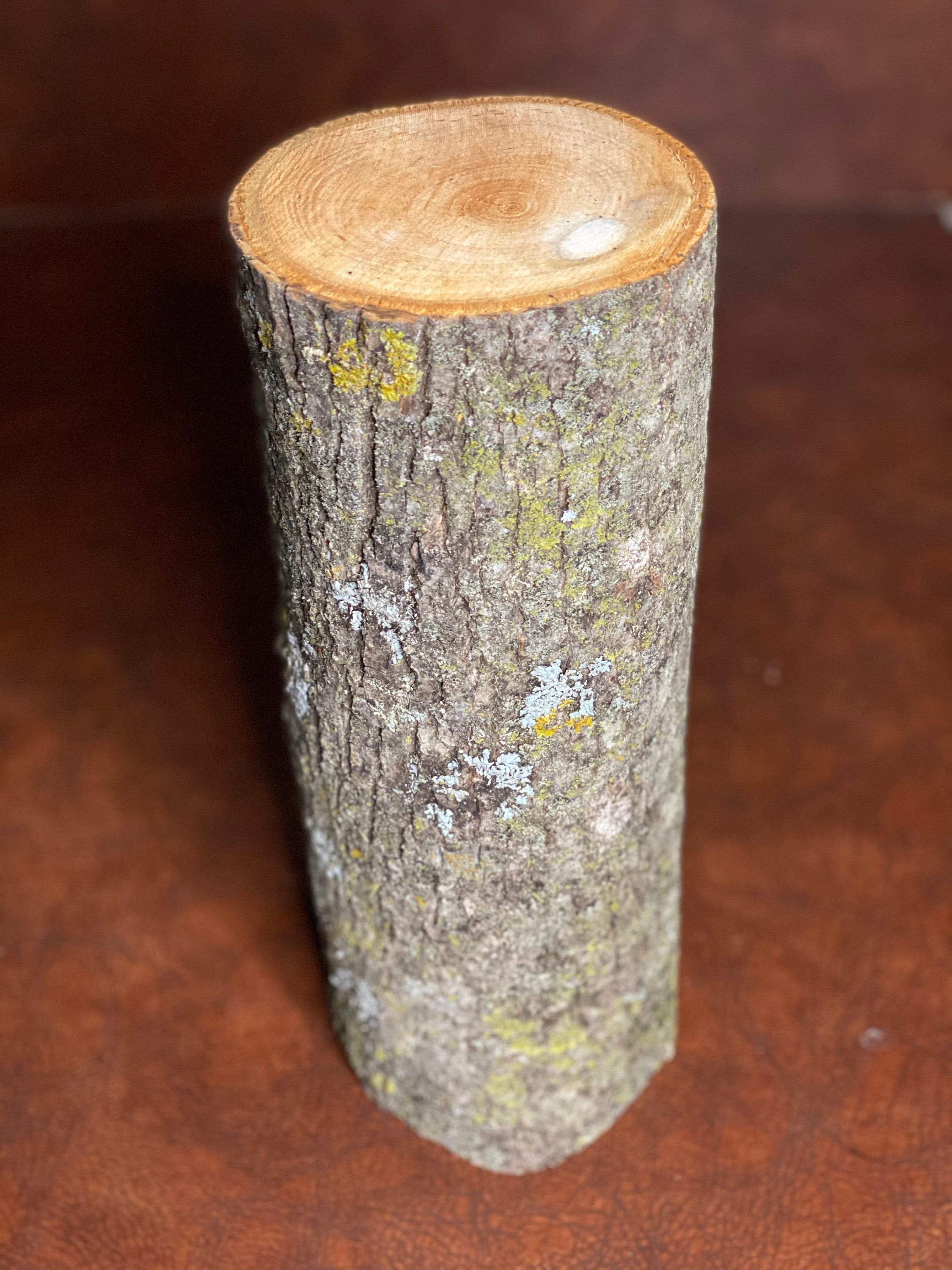 Basswood Log, One Count, About 12 Inches Long by 5 Inches Diameter