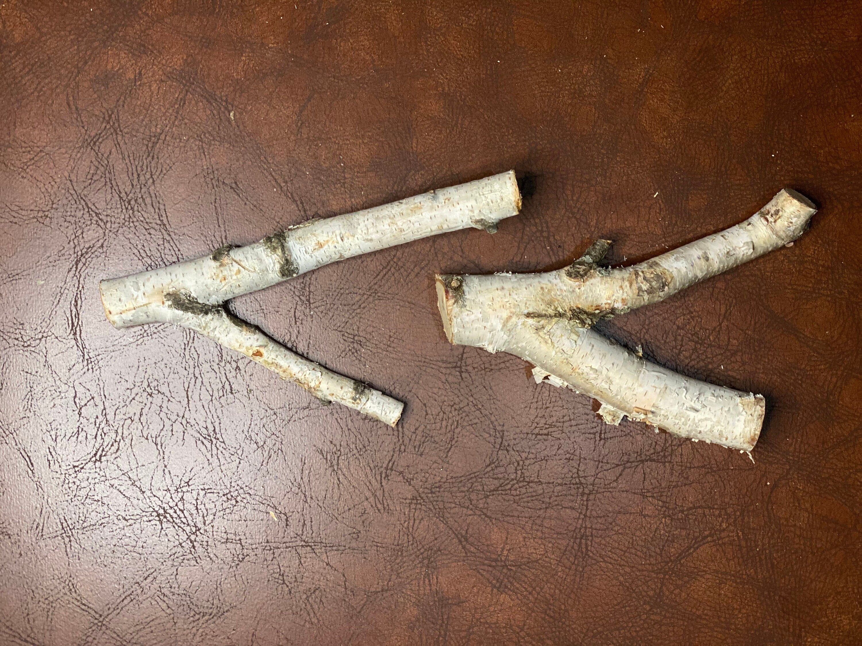 White Birch Y Shaped Logs, 2 Count, About 9 Inches Long