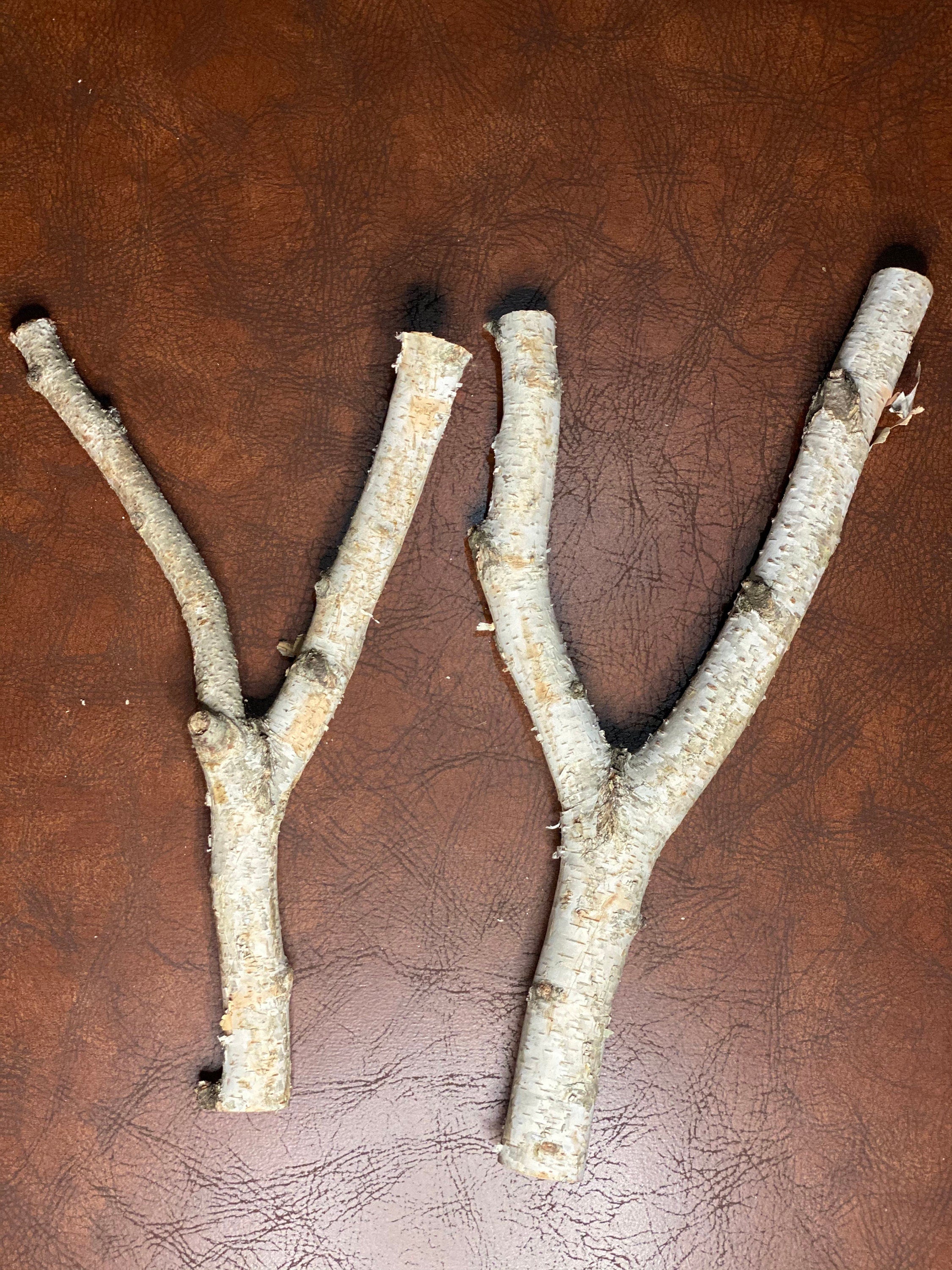 White Birch Y Shaped Logs, 2 Count, About 14 Inches Long