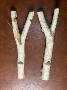 White Birch Y Shaped Logs, 2 Count, About 13 Inches Long