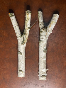 White Birch Y Shaped Logs, 2 Count, About 13 Inches Long