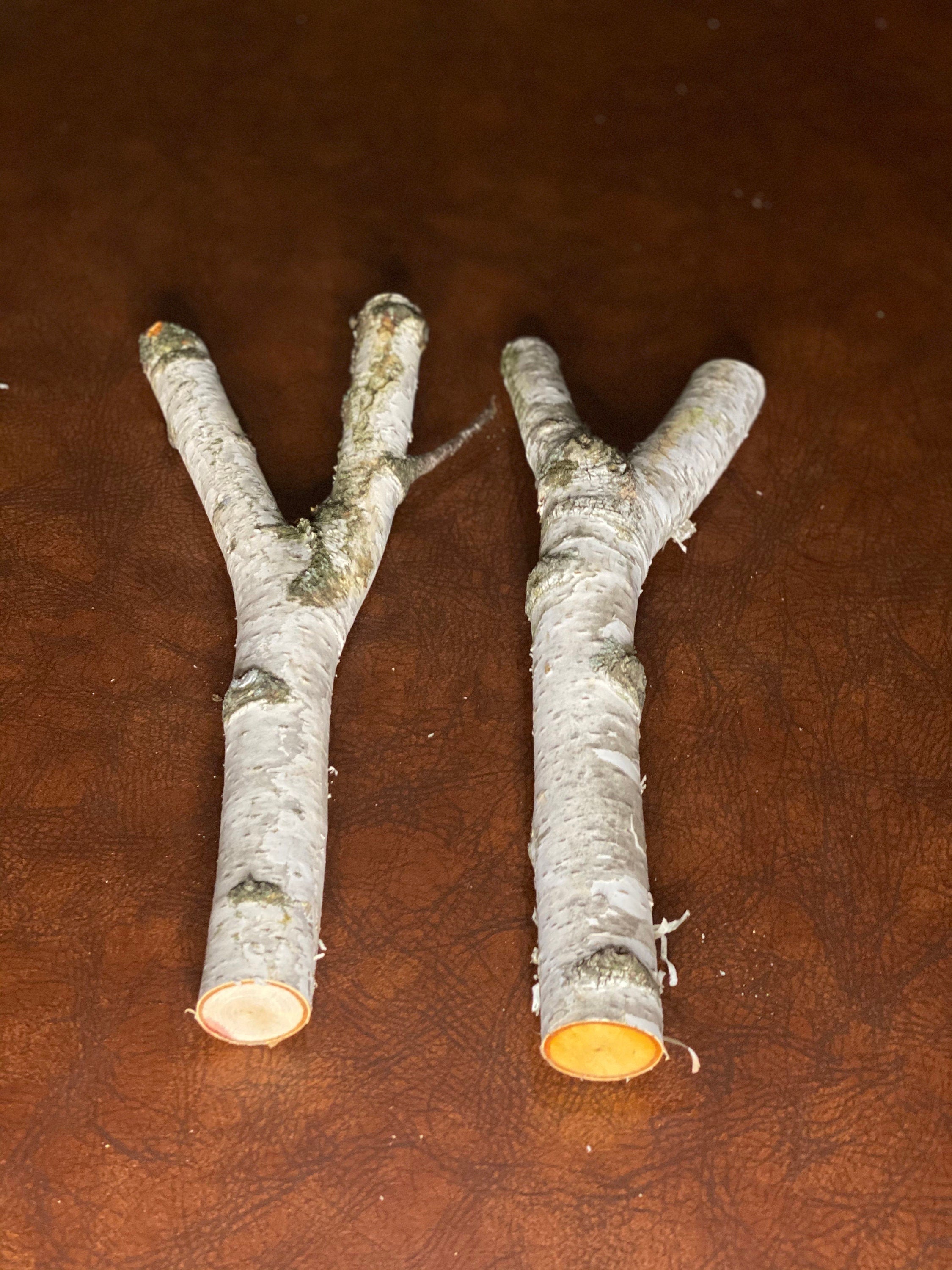 White Birch Y Shaped Logs, 2 Count, About 13 Inches Long