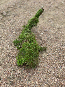 Mossy Log, Live Moss Covered Log, Approximately 10 Inches Long by 3 Inches Wide and 4 Inches Tall