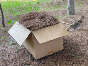 Pine Straw, Red Pine Needles, Dried - 10 Pounds