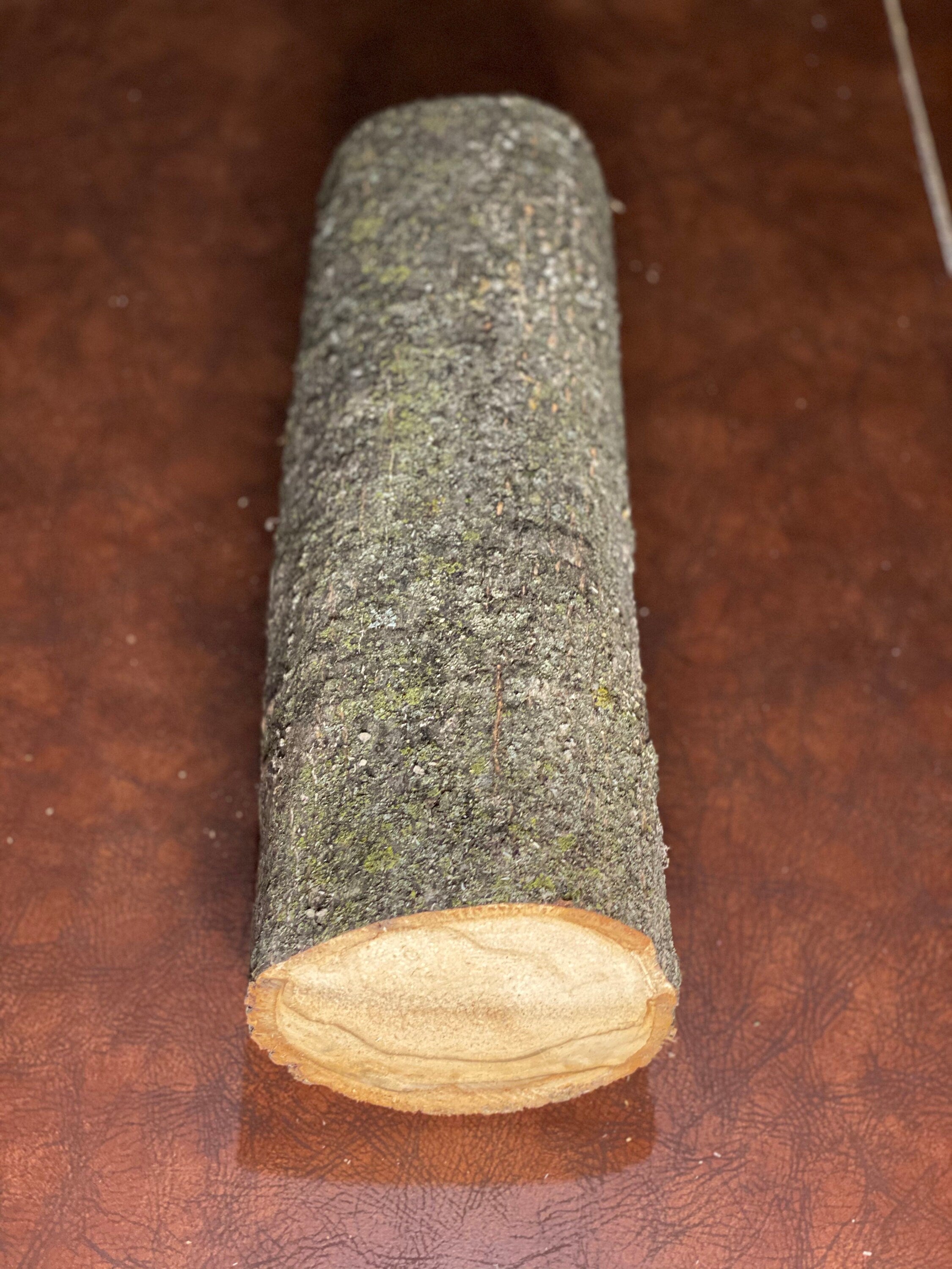 Basswood Log, One Count, About 16 Inches Long by 5 Inches Diameter