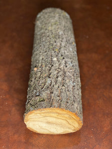 Basswood Log, One Count, About 16 Inches Long by 5 Inches Diameter