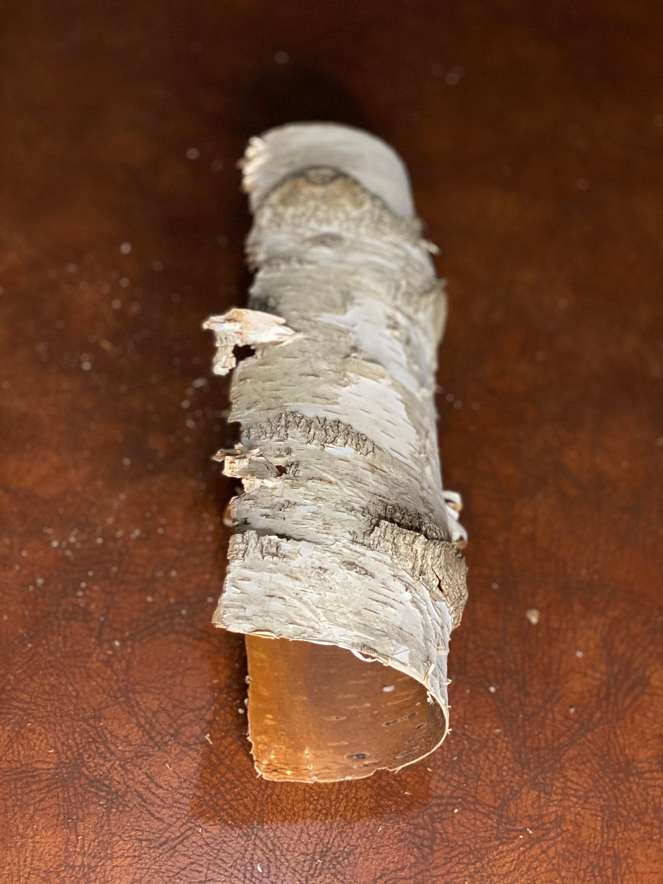 White Birch Tube, Approximately 11.5 Inches Long by About 3 Inches Diameter