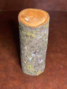 Basswood Log, One Count, About 12 Inches Long by 7 Inches Diameter