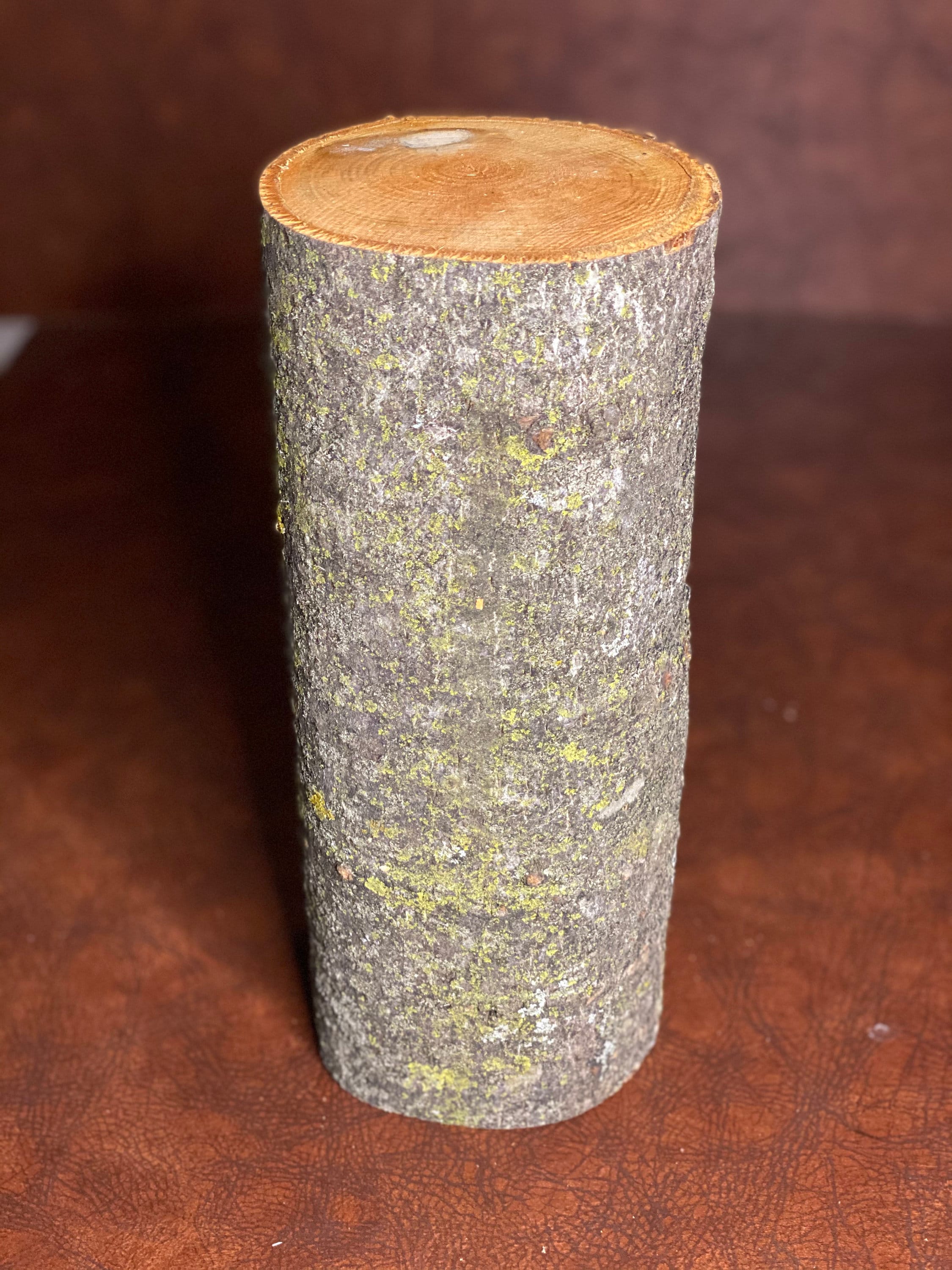 Basswood Log, One Count, About 12 Inches Long by 4 Inches Diameter