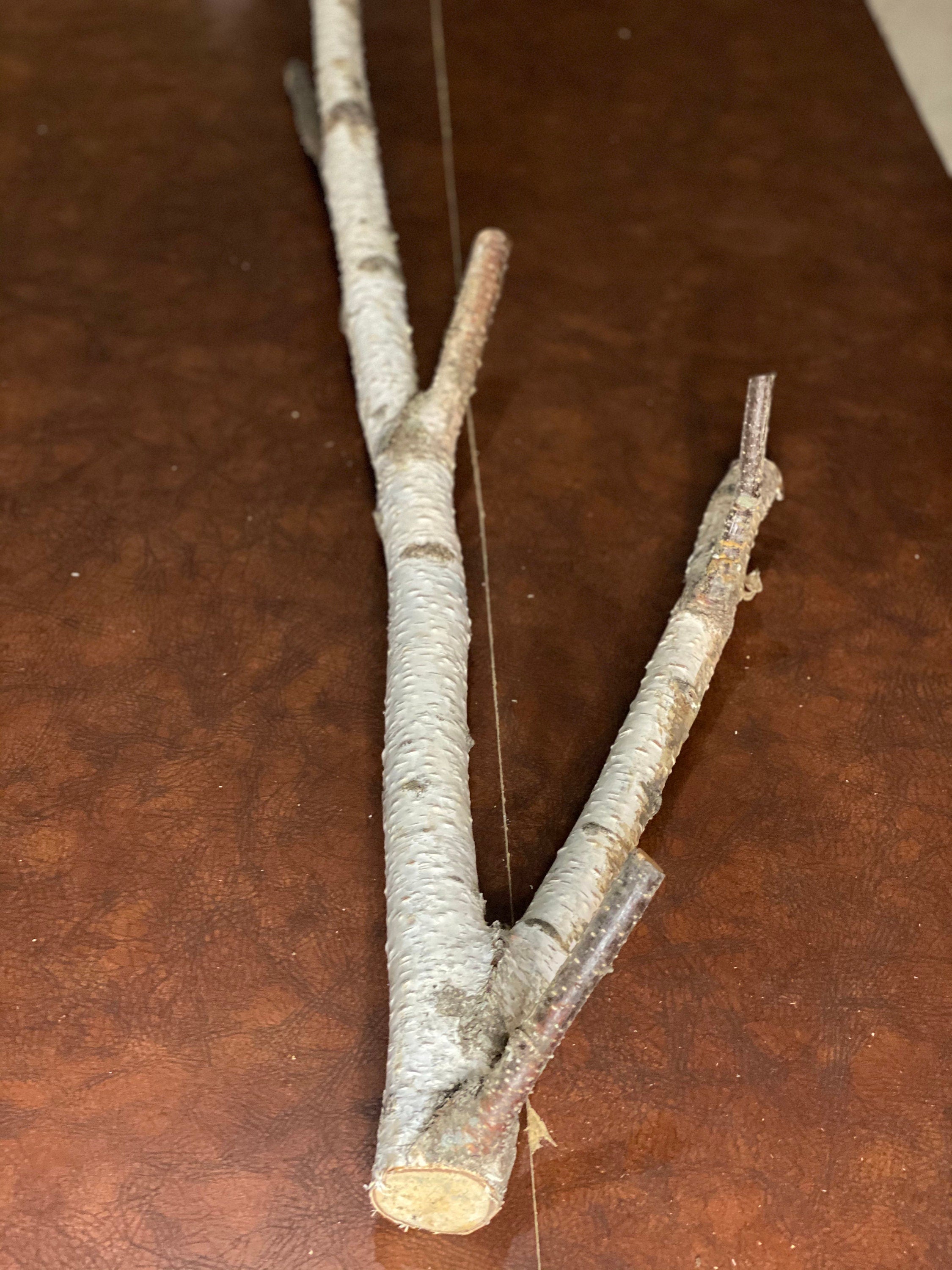 White Birch Log, Parrot Perch, Approximately 39 Inches Long by 1.5 Inches Wide, 1 Inch Thick