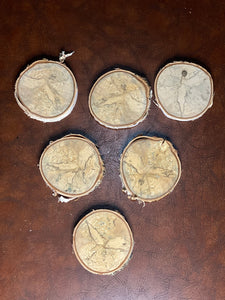 Six Lightly Spalted White Birch Slices, Approximately 4 Inches Diameter by 1/2 Inch Thick