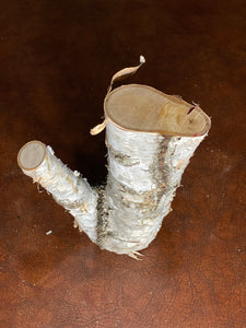 White Birch V- Shaped Log, Approximately 8 Inches Long by 4 Inches Wide, 3.5 Inches Thick