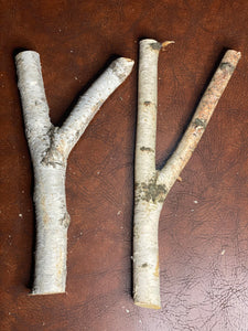 White Birch Y Shaped Logs, 2 Count, About 10 Inches Long