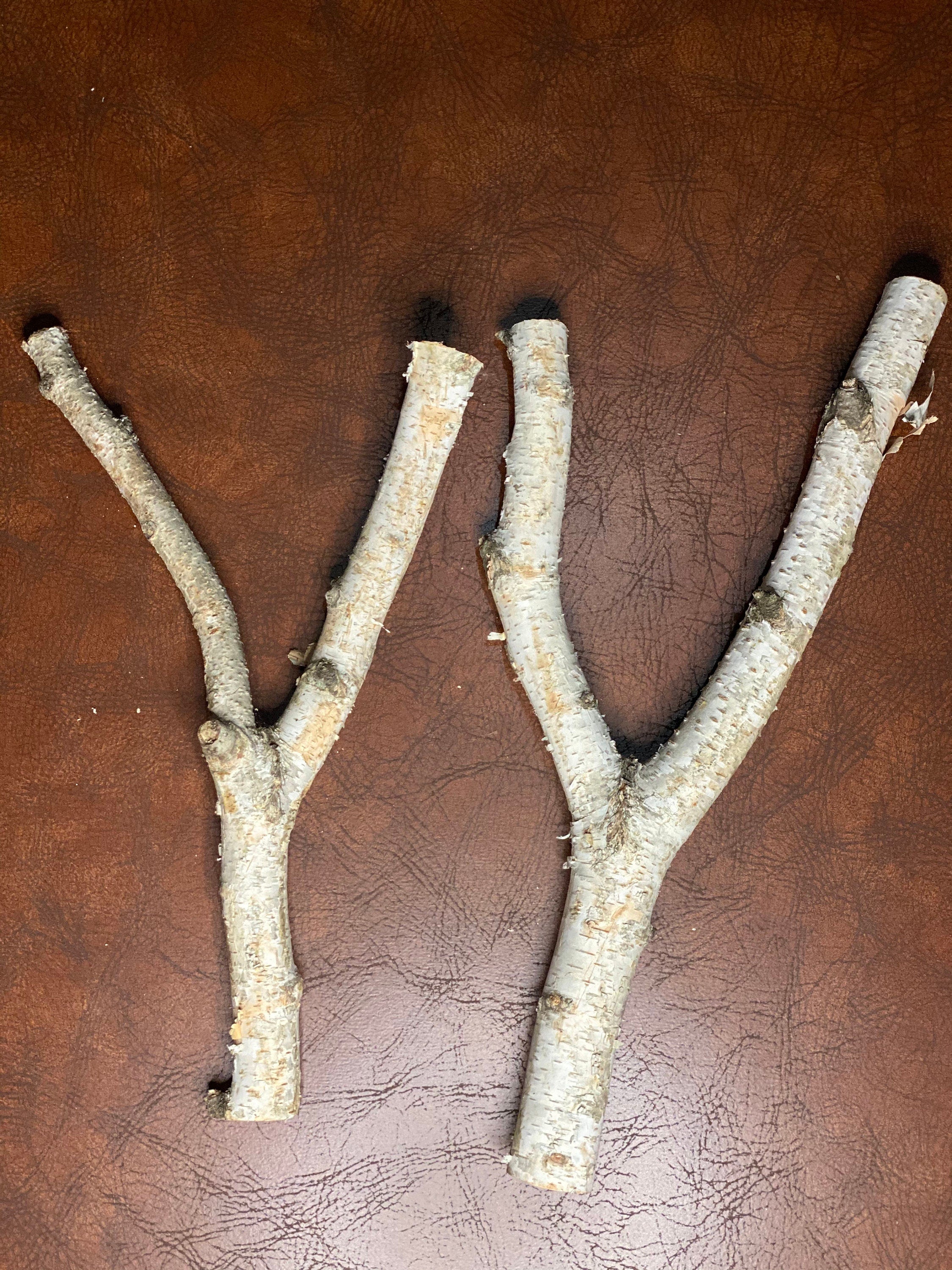 White Birch Y Shaped Logs, 2 Count, About 14 Inches Long