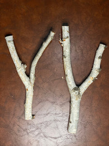 White Birch Y Shaped Logs, 2 Count, About 14 Inches Long