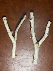 White Birch Y Shaped Logs, 2 Count, About 14 Inches Long