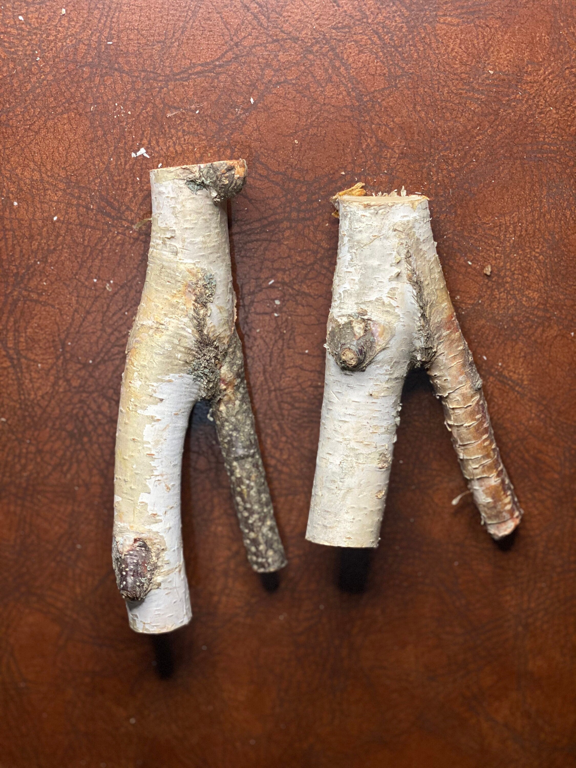 White Birch Y Shaped Logs, 2 Count, About 7 Inches Long