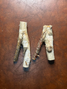 White Birch Y Shaped Logs, 2 Count, About 7 Inches Long