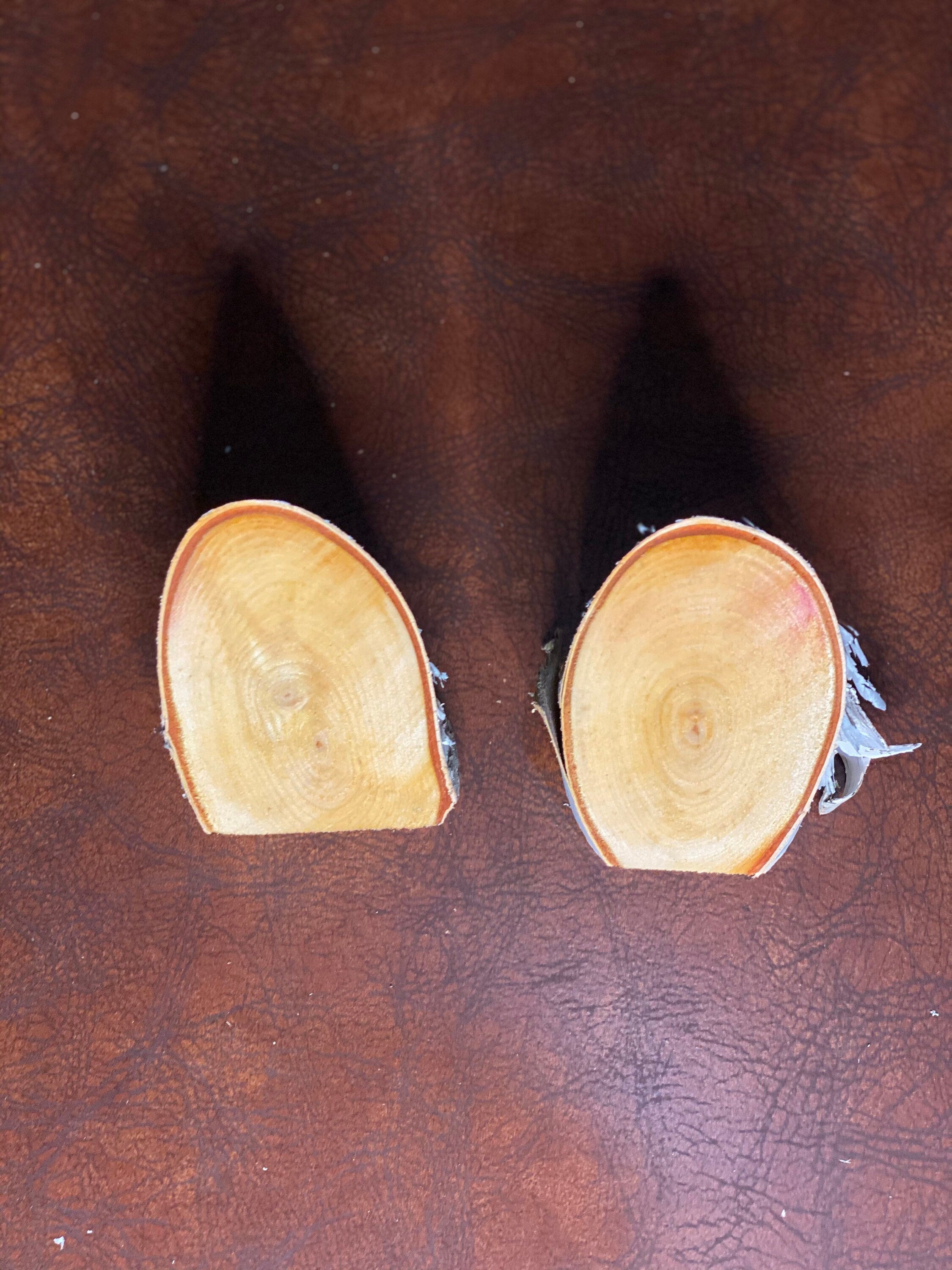 White Birch Angled Cuts, 2 Pieces