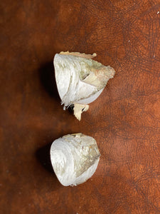 White Birch Angled Cuts, 2 Pieces