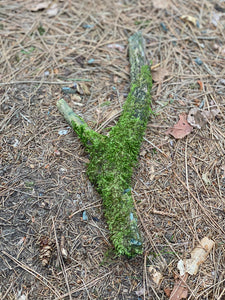 Moss Covered Log, Mossy Log, 14 Inches Long by 1 Inch Wide and 1 Inch High